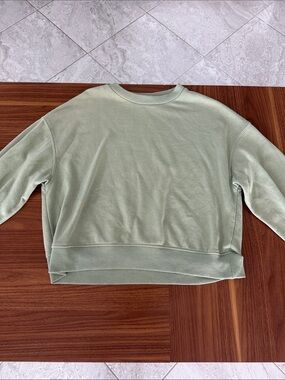 Divided Light Sage Green Crewneck Sweatshirt